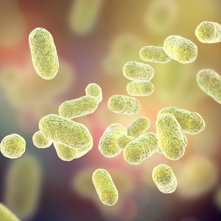 Microbiome