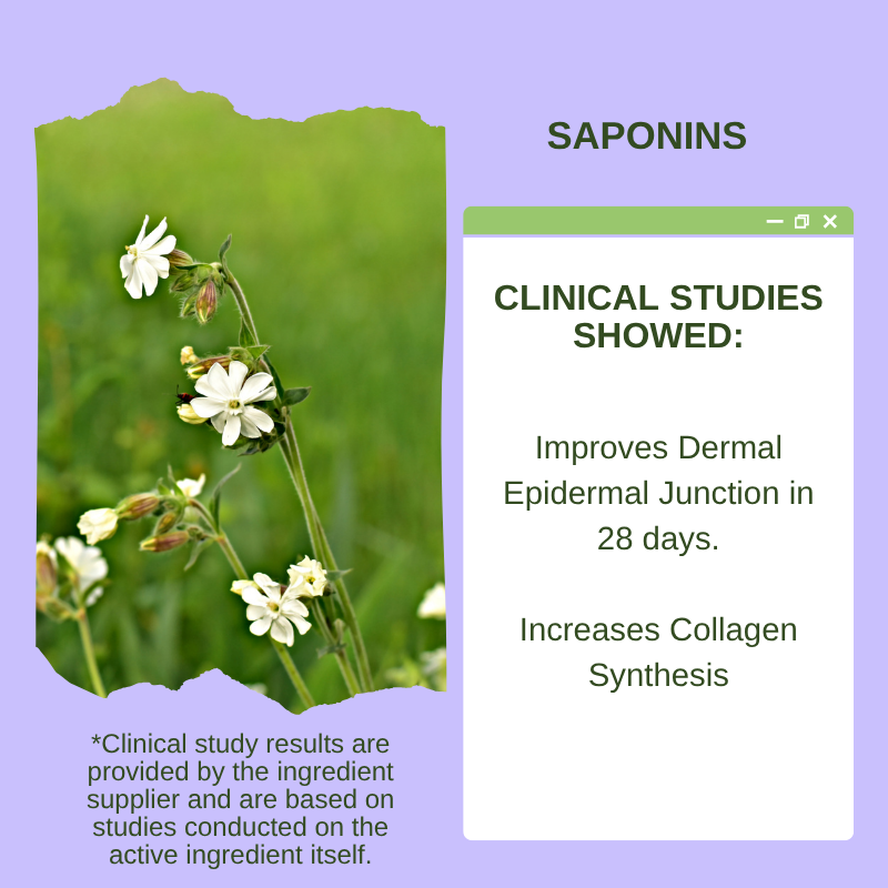 Rejuvenating Plump Glow Serum