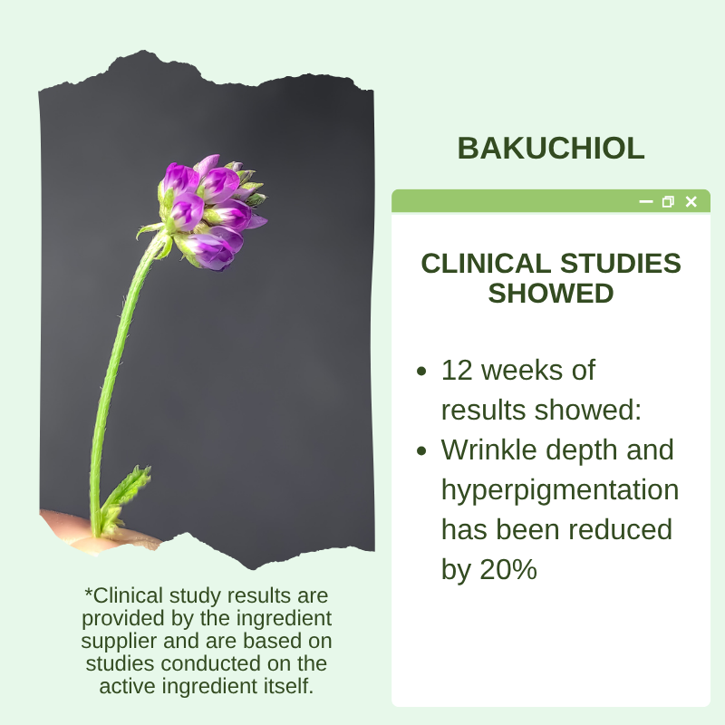Bakuchiol Retinol Serum