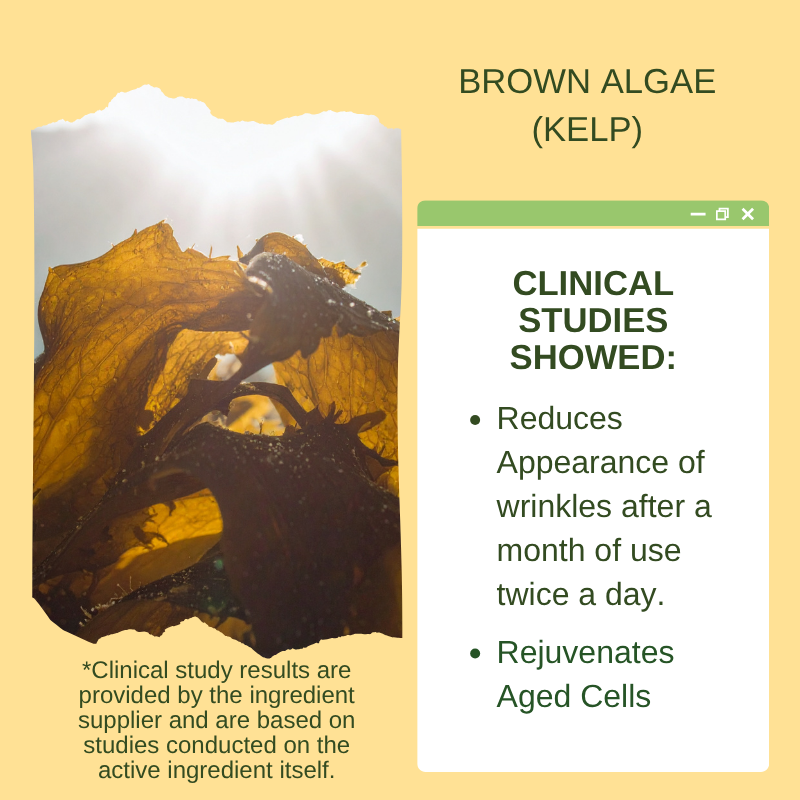Skin Barrier Restoring Lifting Moisturizer