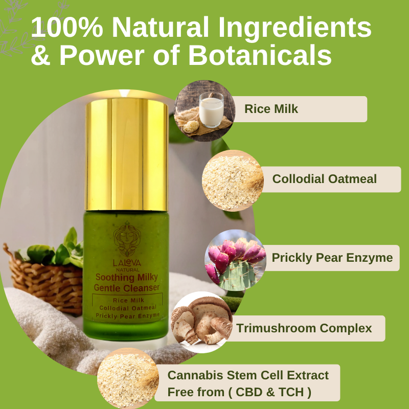 Soothing Gentle Milky Cleanser